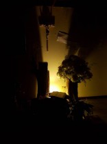 18881926 10212931958994562 6531750119242352485 n